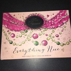 Too Faced Everything Nice Eyeshadow Palette